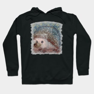 Hedgehog graffiti Hoodie